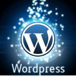 Wordpress logo